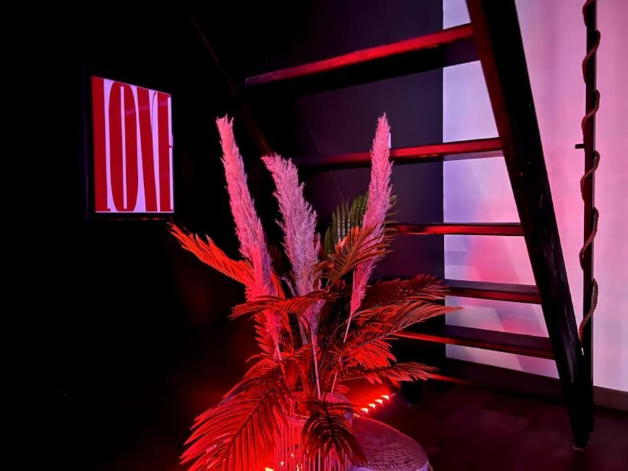 Red Love-Room / Balneo & Plus ! Souppes-sur-Loing ภายนอก รูปภาพ